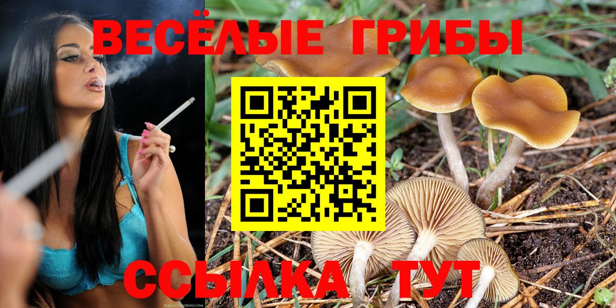 Котельники  Псилоцибиновые грибы Psilocybine cubensis  Вход с VPN 